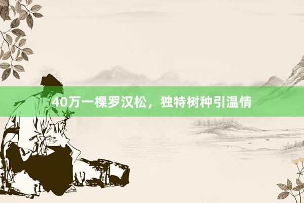 40万一棵罗汉松，独特树种引温情