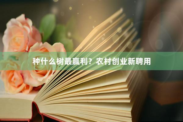 种什么树最赢利？农村创业新聘用